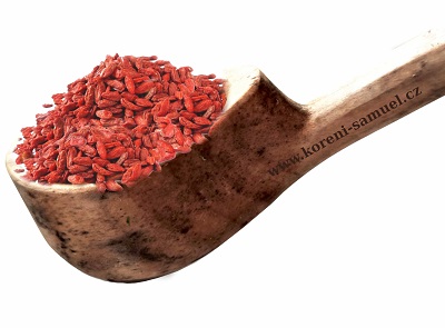 KUSTOVNICE ČÍNSKÁ